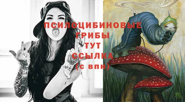 a pvp Алексин