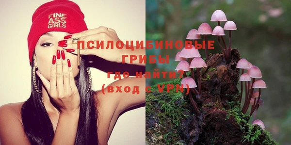 мяу мяу мука Алексеевка