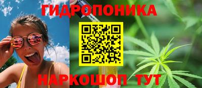 spice Добрянка
