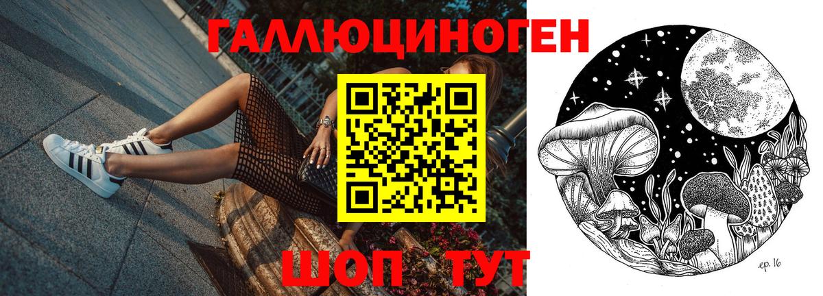 Псилоцибиновые грибы прущие грибы Балашиха